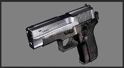 SIG P228 with Chrome Slide